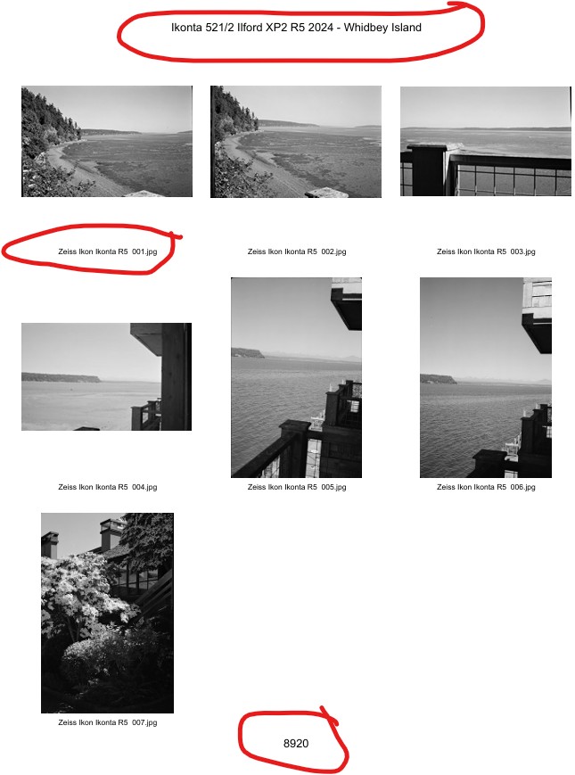 Contact Sheet Example