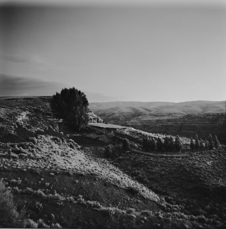 Rediscovering the Negative: Why I Scan My Own Film