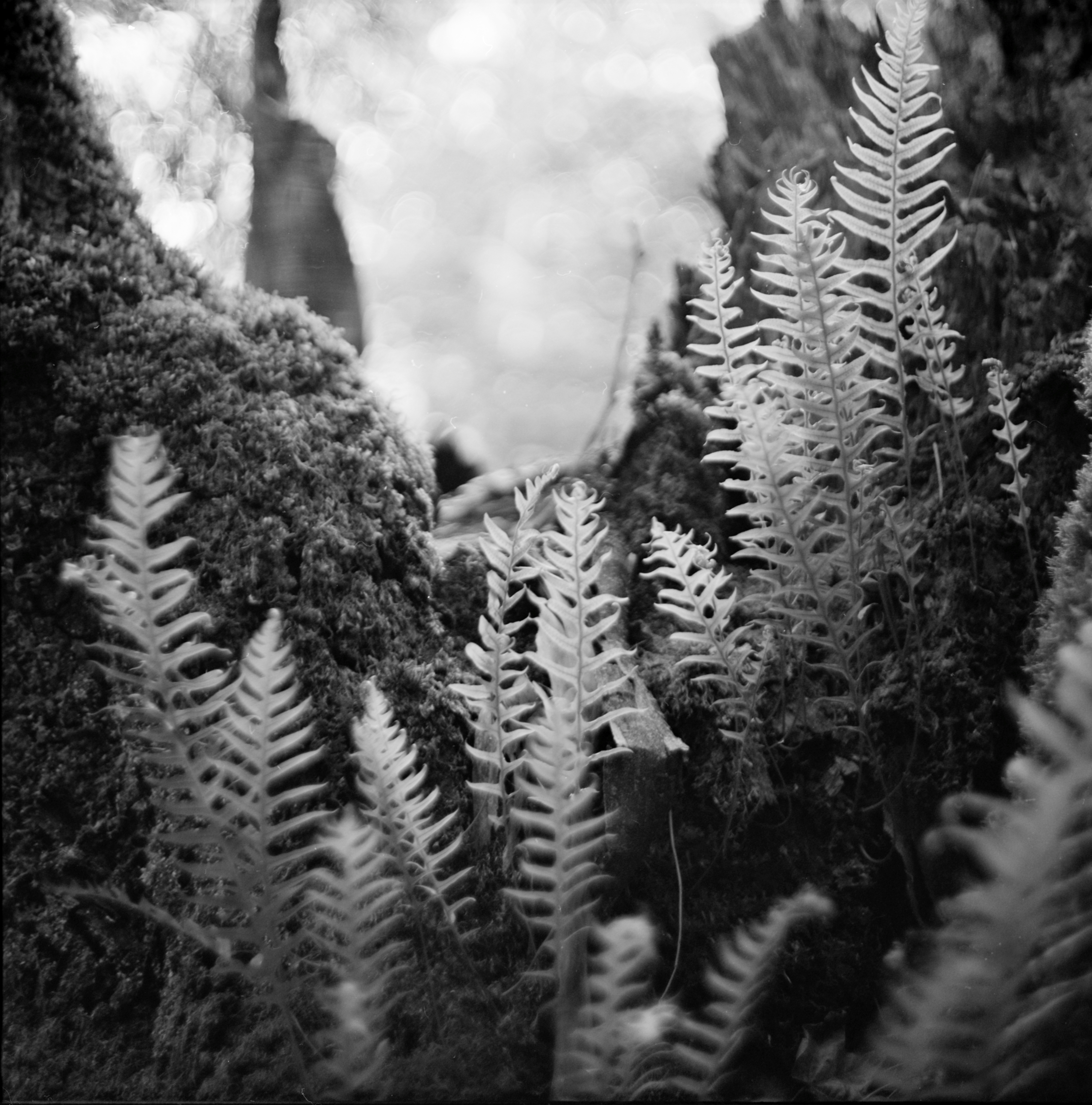 From My Front Door – A Second Look