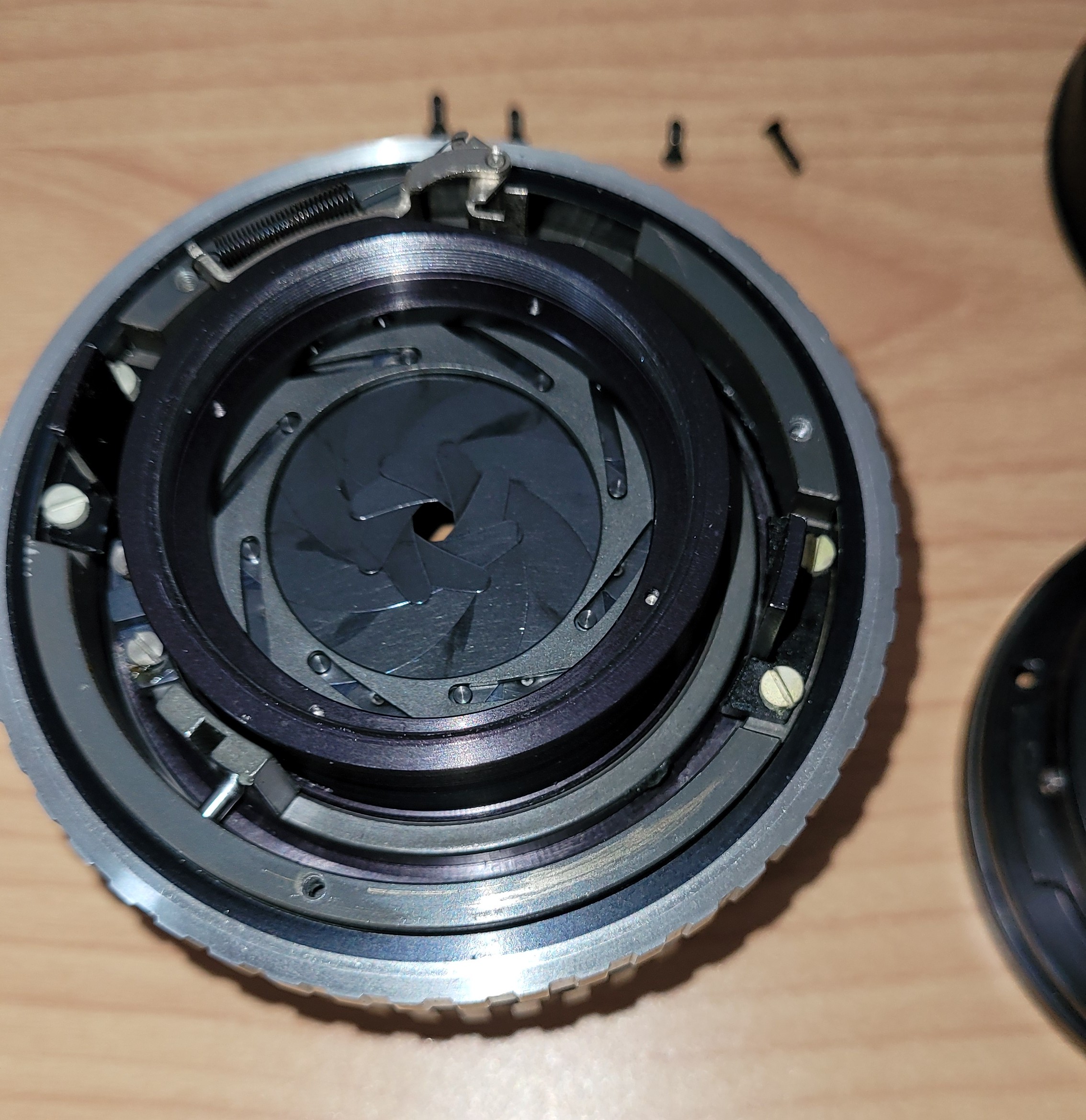 Rear iris exposure with visible lubricant traces