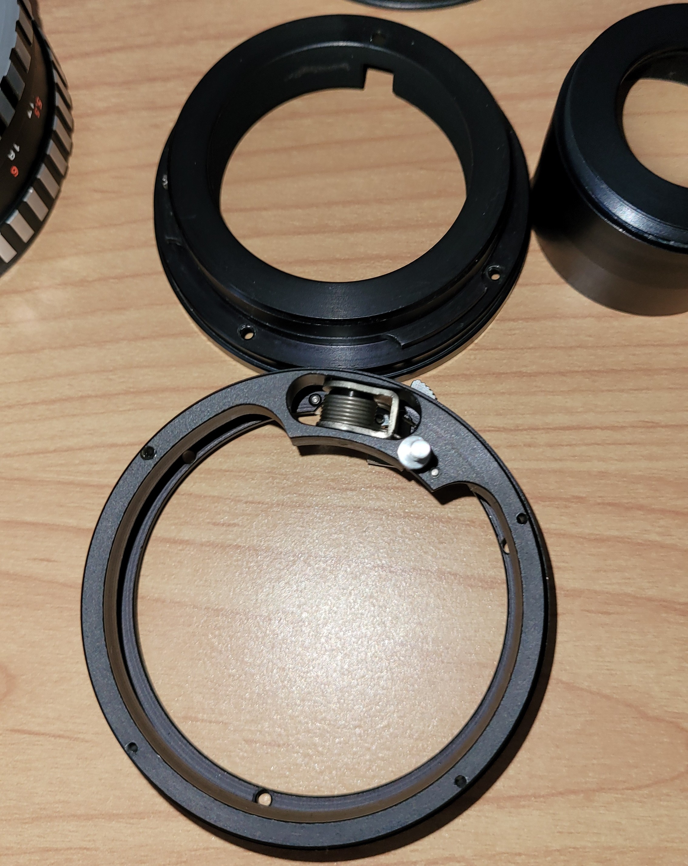 Iris blades showing reflective patches indicating oil