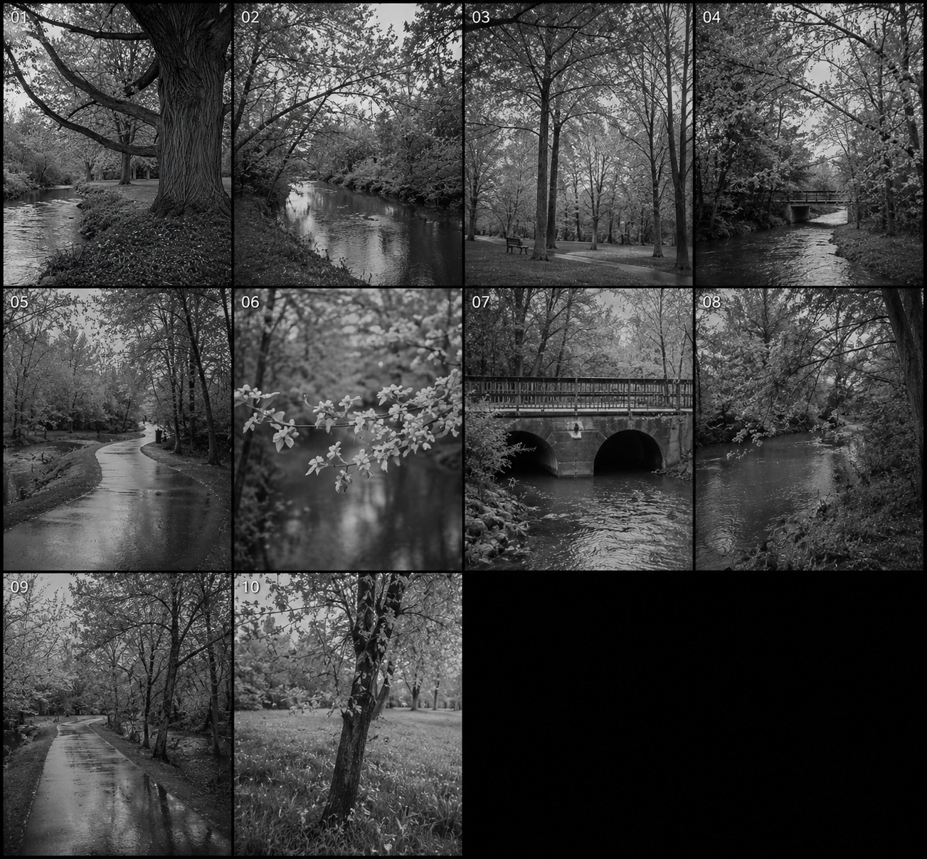 AI-generated contact sheet of ten near-identical frames